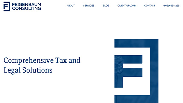 Feigenbaum Consulting